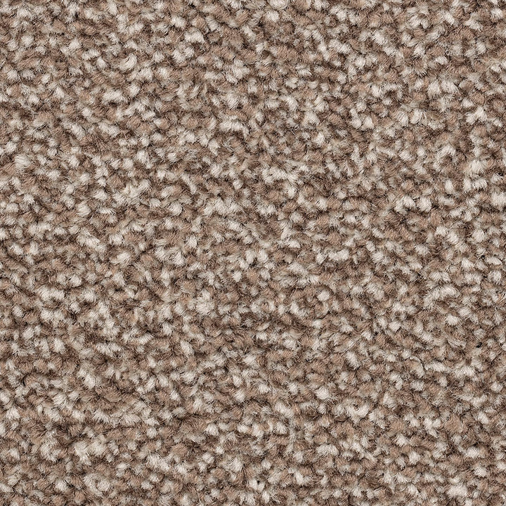 Ventnor Luxury Potters Wheel Carpet