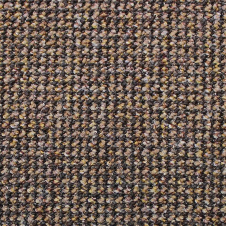 Solido 5 H1428 Anthracite Carpet