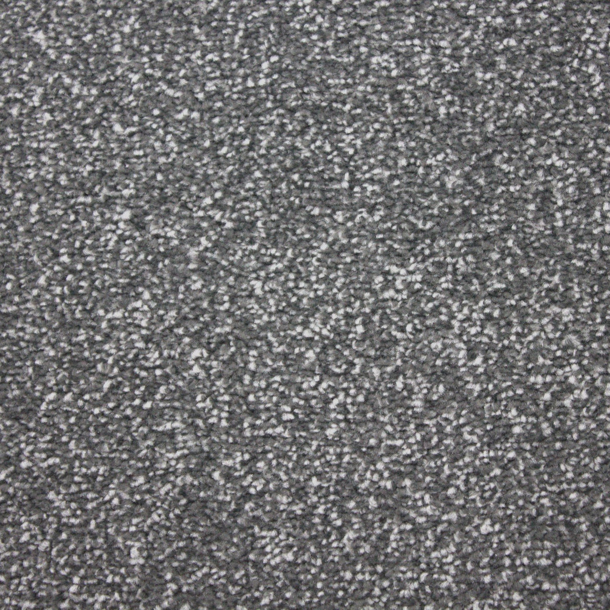 Hathaway Trafalgar Harbour Grey Carpet