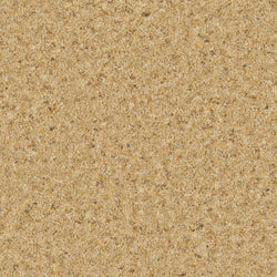Cormar Natural Berber Elite Marigold Carpet
