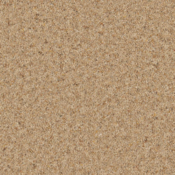 Cormar Natural Berber Elite Macaroon Carpet