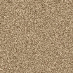 Cormar Apollo Plus Stepping Stone Carpet