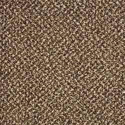 Cormar Primo Tweeds Brownstone Carpet