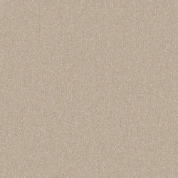 Cormar Silken Serenity Antique White Carpet