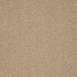 Cormar Trinity Palm Sugar Carpet