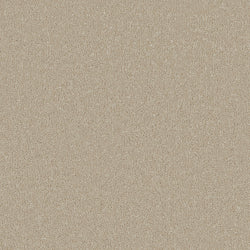 Cormar Silken Serenity Stucco Carpet