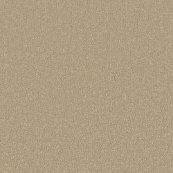 Cormar Silken Serenity Malt Carpet