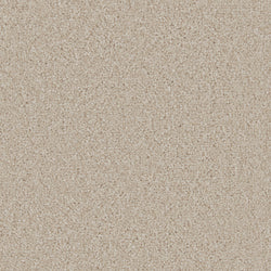 Cormar Aurora Champagne Carpet