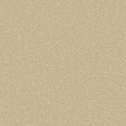 Cormar Zenith Palomino Gold Carpet