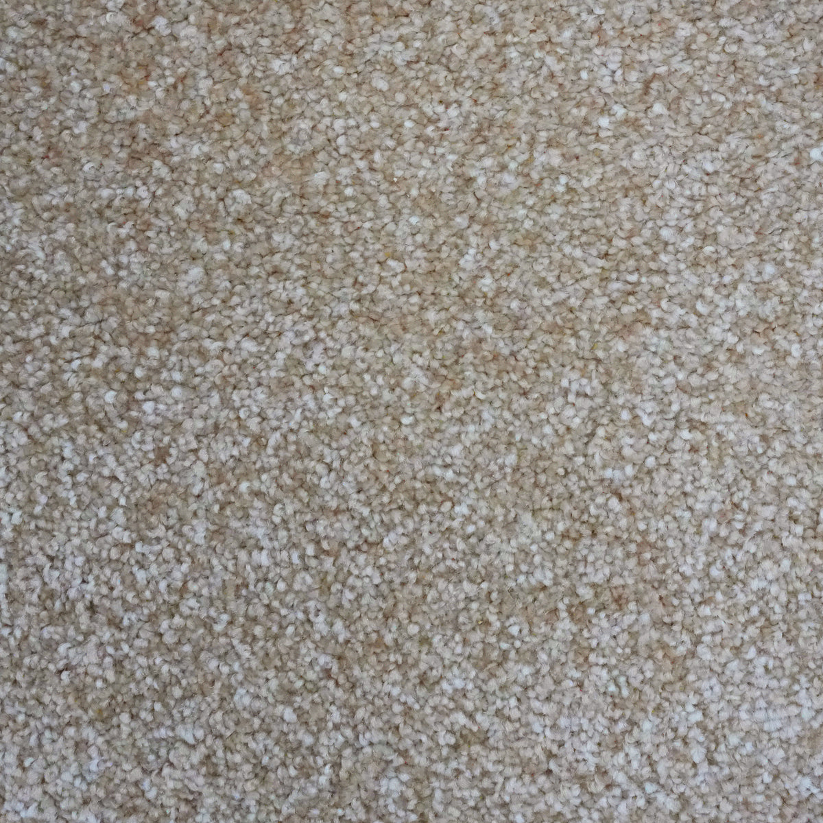 Jupiter Almond White 4321 Carpet