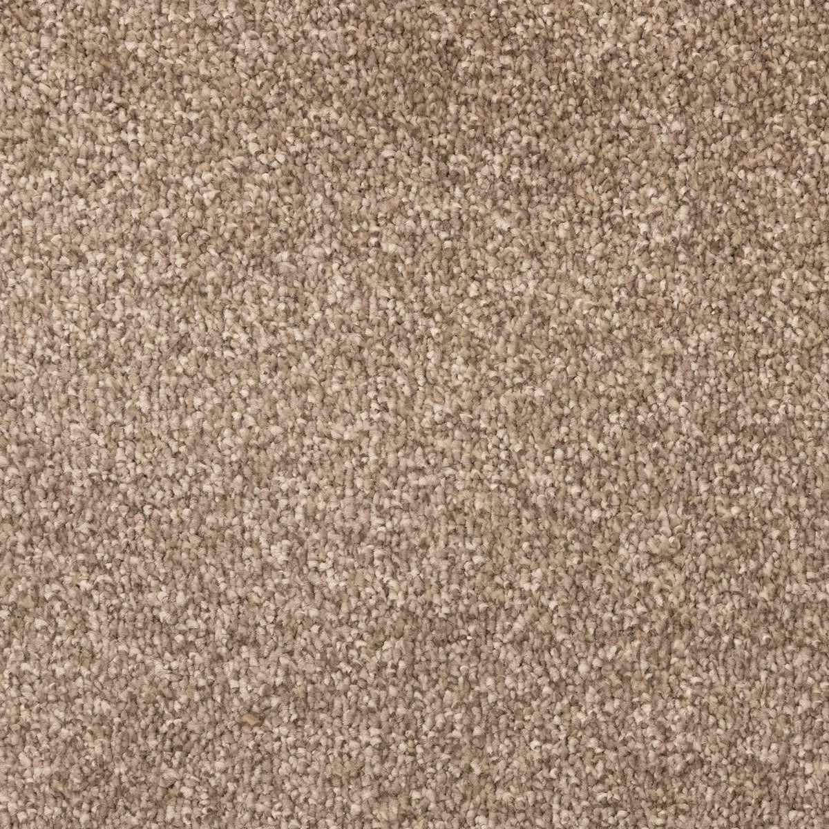 Jupiter Pancake 4322 Carpet