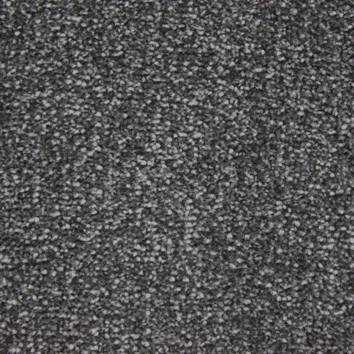 Hathaway Dorset Twist Jurassic Grey Carpet
