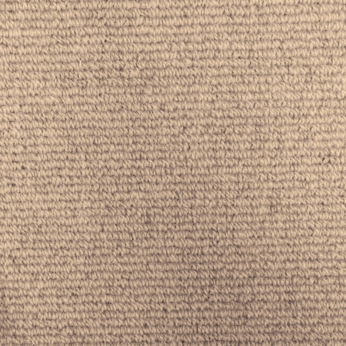 Kensington Cocoa 64 Carpet