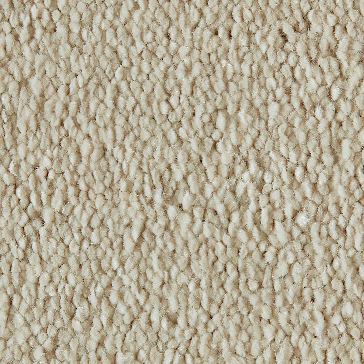 Sweet Dreams A/b Swd 0240 Cream Carpet