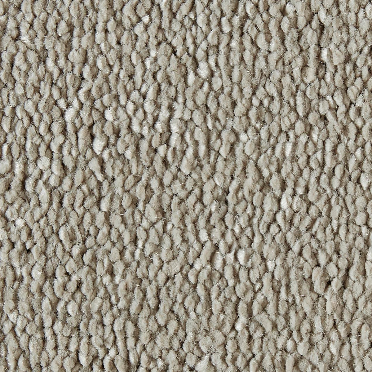Sweet Dreams A/b Swd 0230 Flax Carpet
