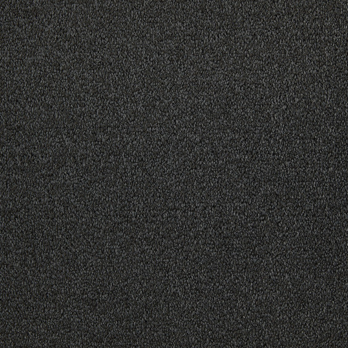 Scala Style Scy 0830 Ash Carpet