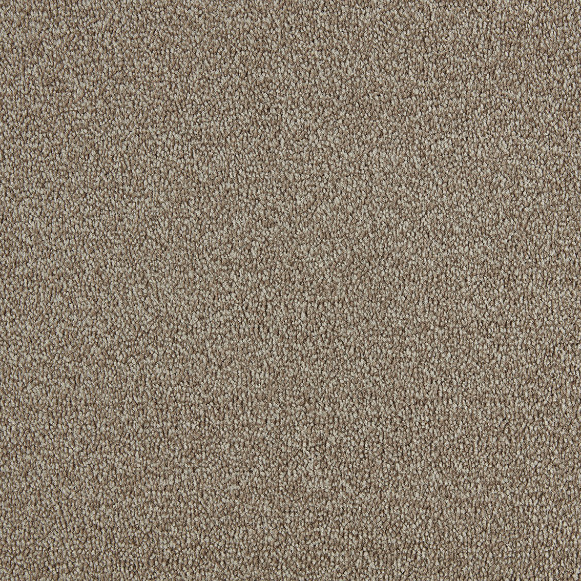 Scala Style Scy 0231 Flax Carpet