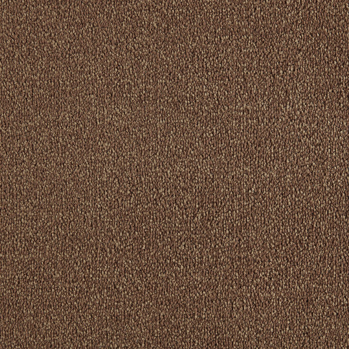 Scala Style Scy 0270 Almond Carpet