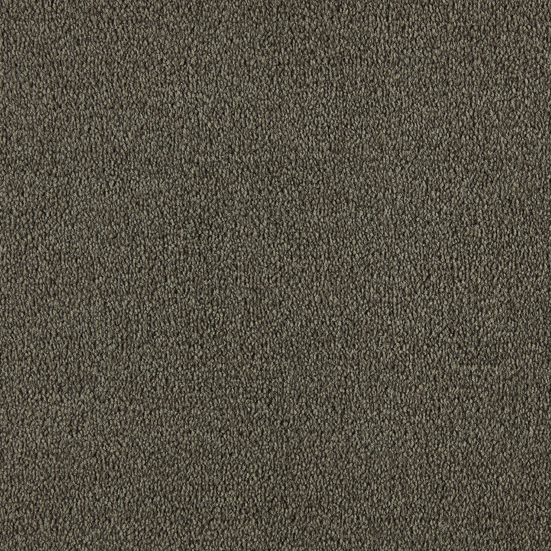 Scala Style Scy 0420 Cornstalk Carpet