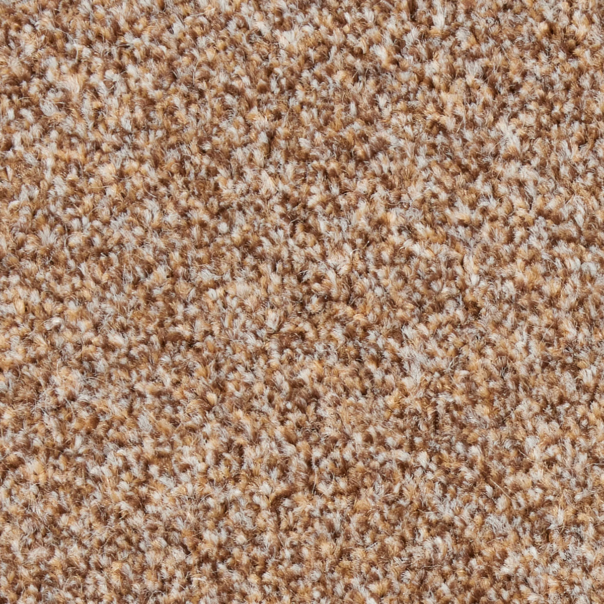Fairfield Creations Acorn 0220 Carpet