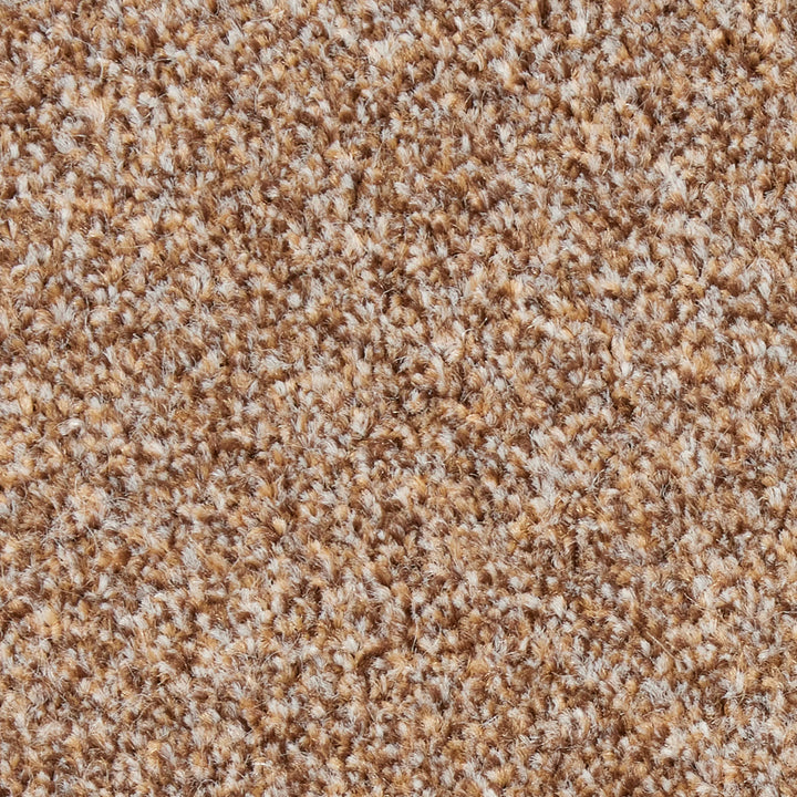 Fairfield Creations Acorn 0220 Carpet