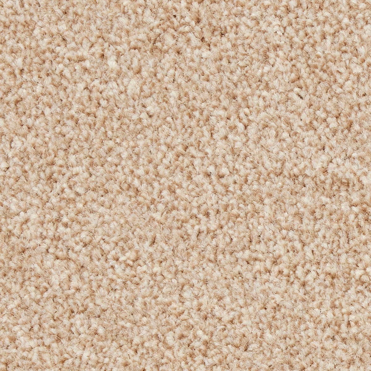 Fairfield Creations Flax 0230 Carpet
