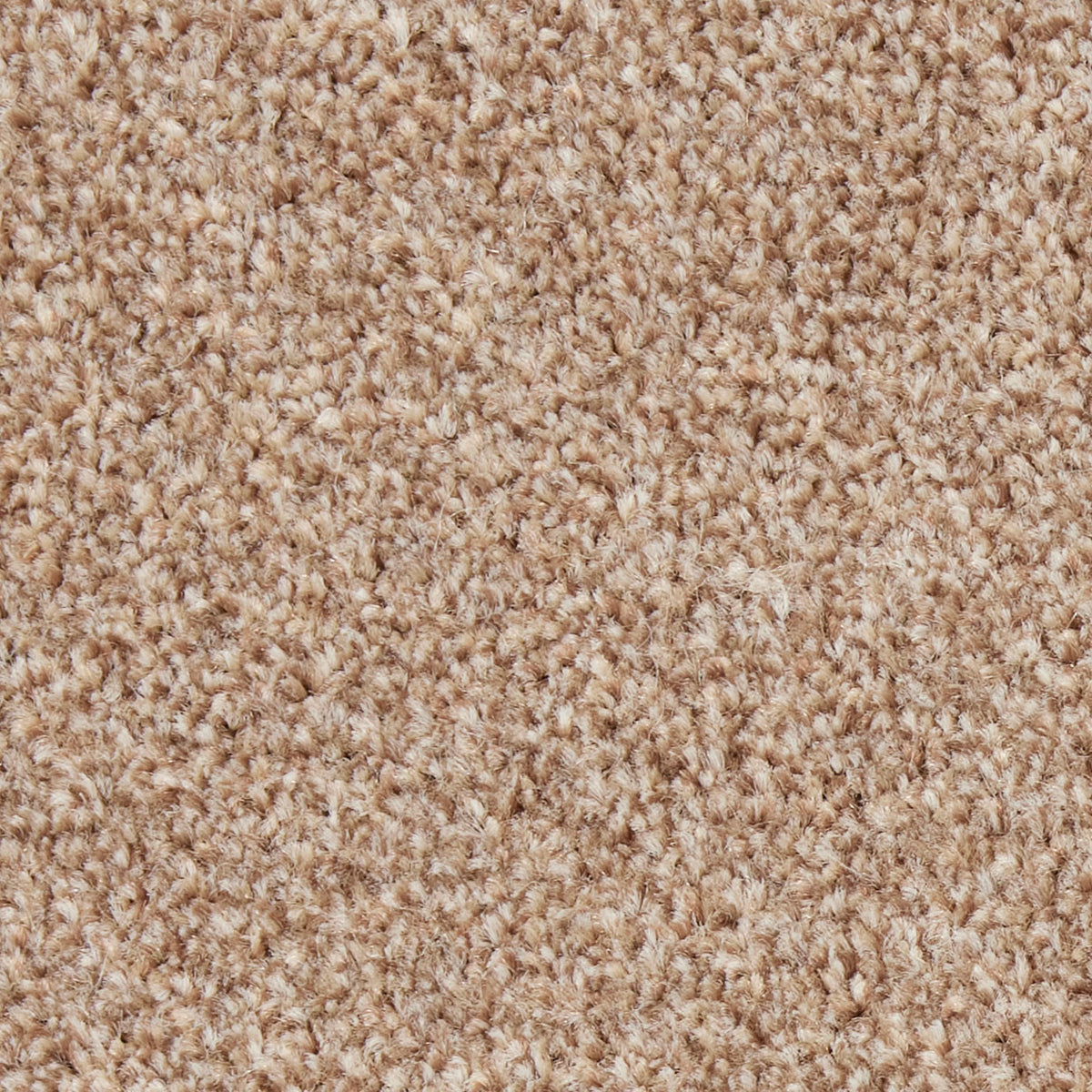 Fairfield Creations Camel 0260 Carpet