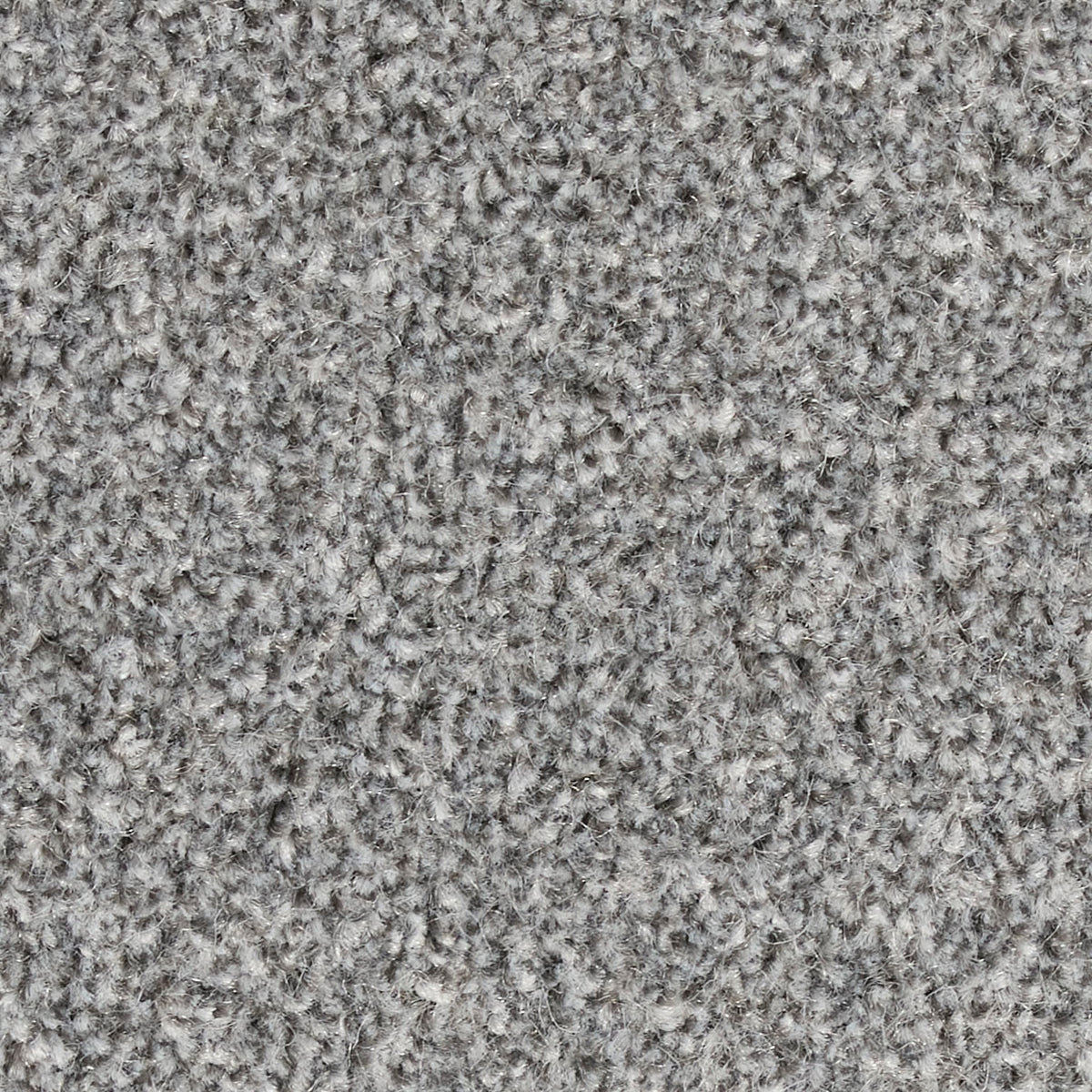 Fairfield Creations Carbon 0821 Carpet