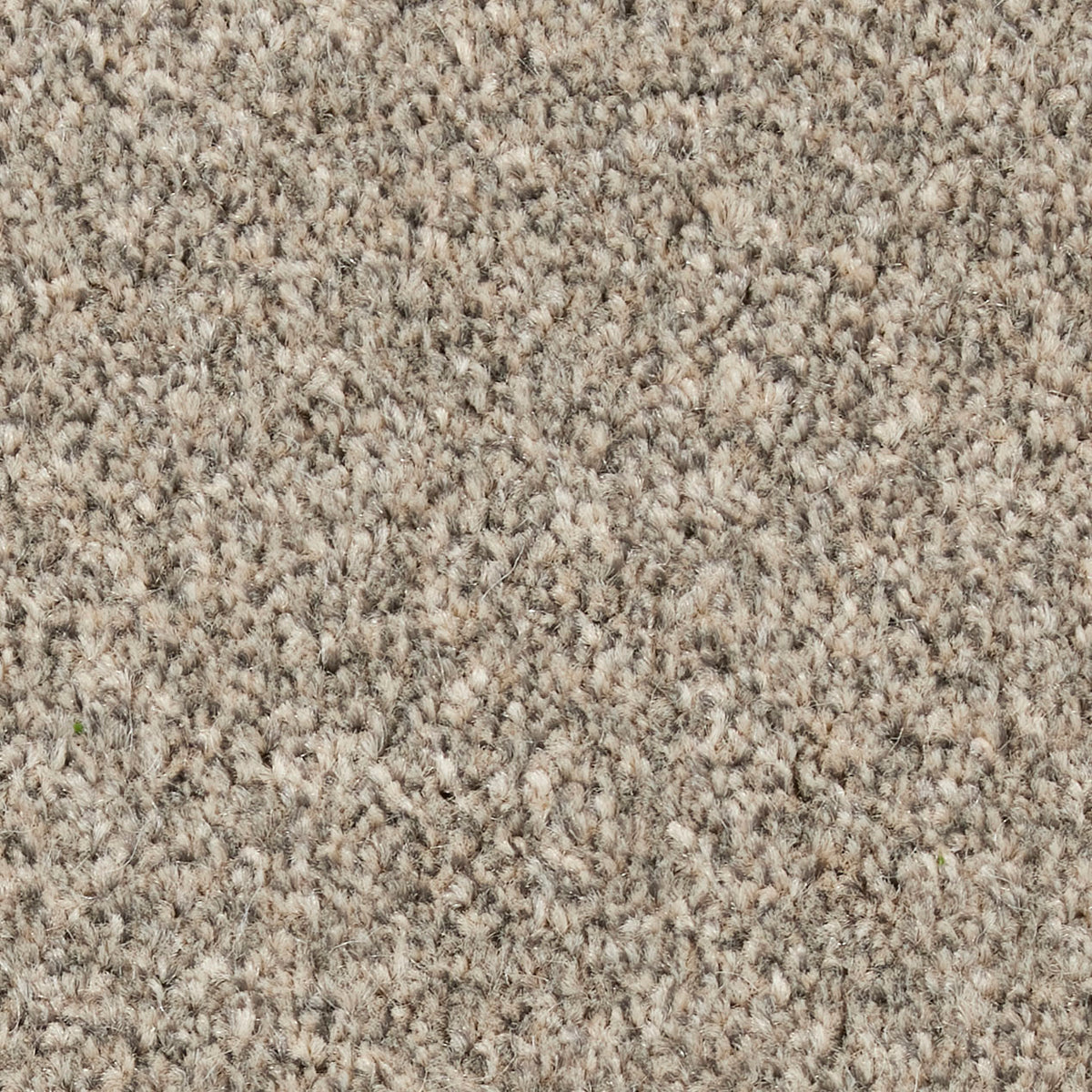 Fairfield Creations Ash 0830 Carpet
