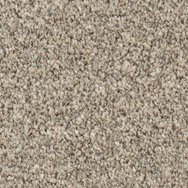 Fairfield Creations Ash 0830 Carpet