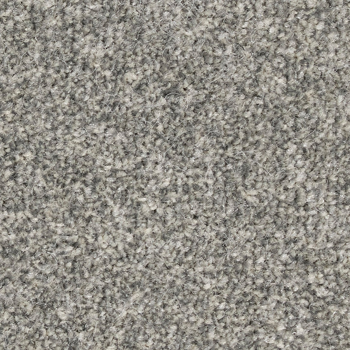 Fairfield Creations Sliver 0870 Carpet