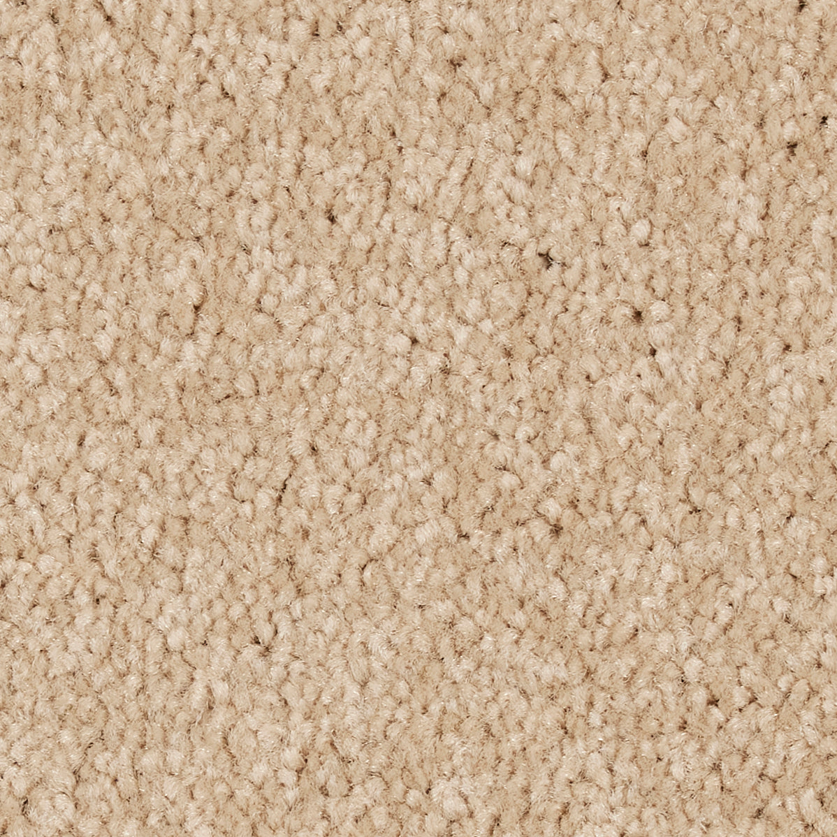Star Twist Supreme Almond 0270 Carpet