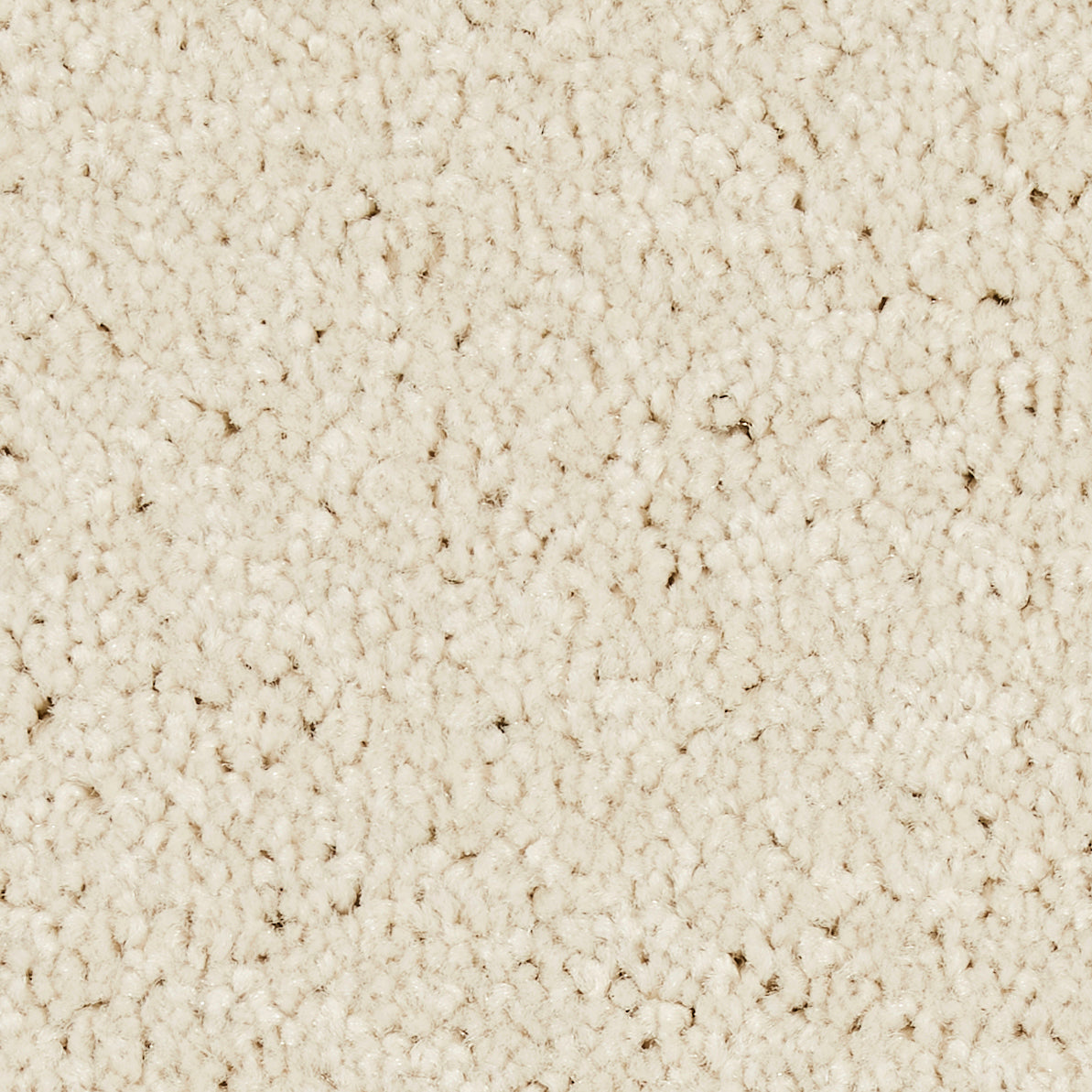Star Twist Elite Desert Sand 0243 Carpet
