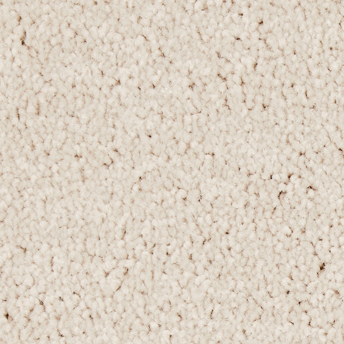 Star Twist Elite Clotted Cream 0443 Carpet