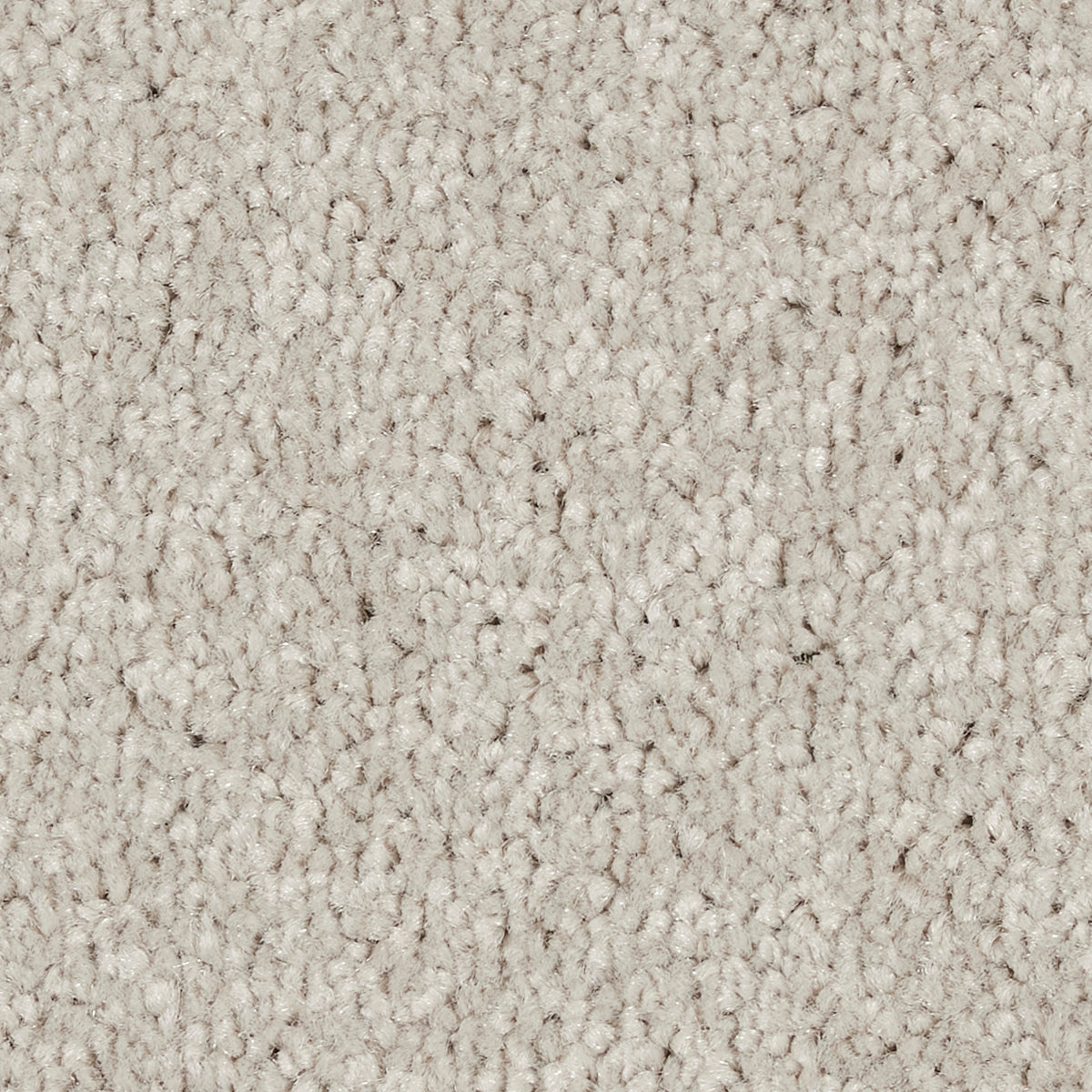 Star Twist Elite Paloma 0862 Carpet