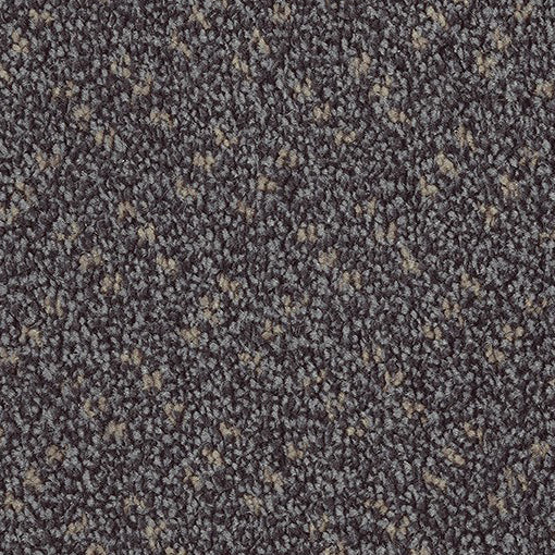 Scala Classic Scb 0820 Slate Carpet