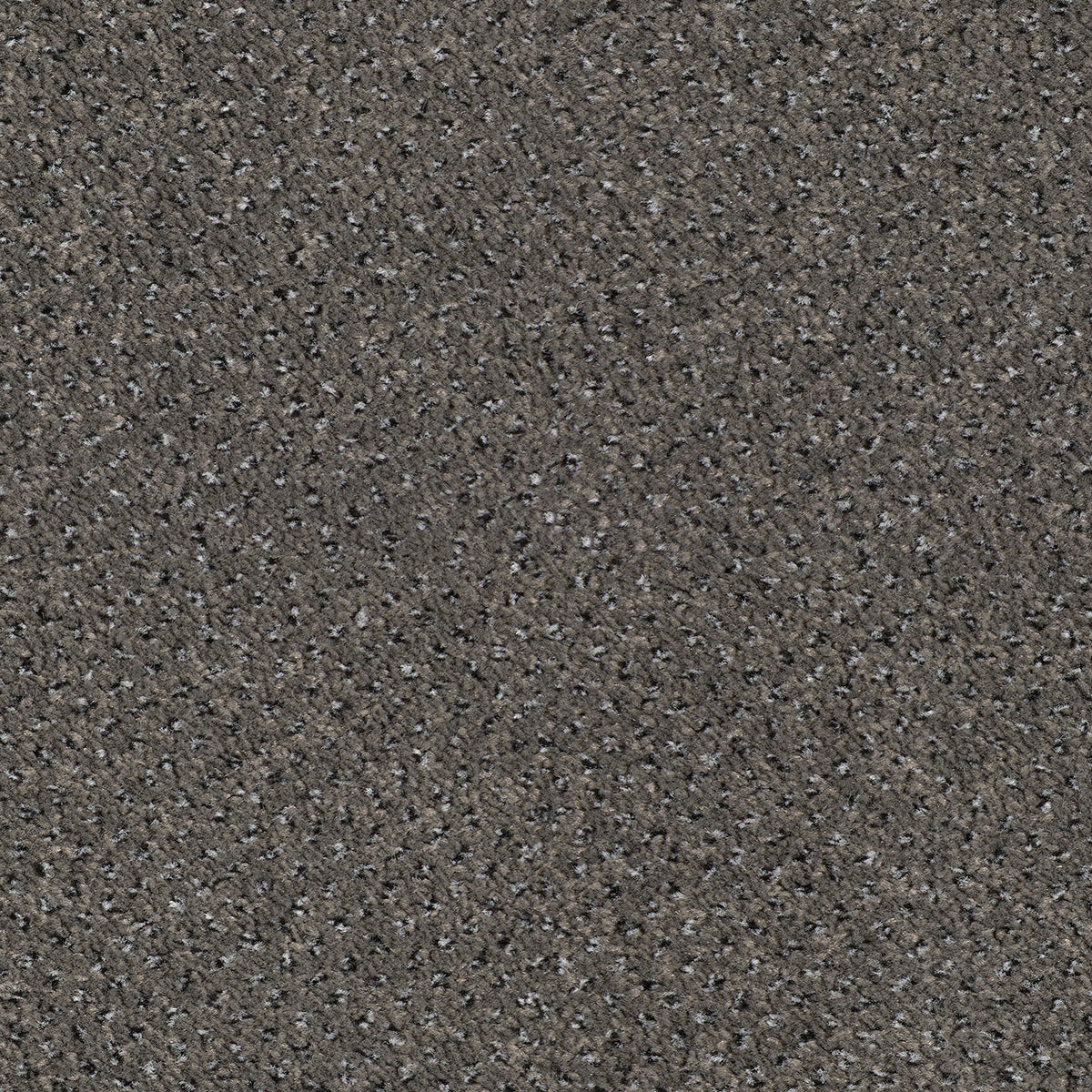 Scala Combinations Impervious Endurance Sei 0820 Slate Carpet