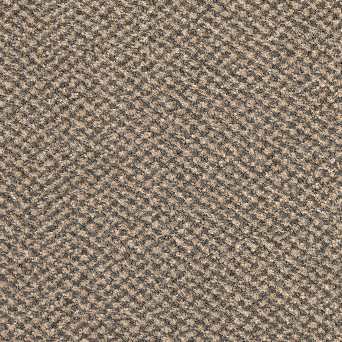 Scala Combinations SB Fun Sft 0820 Slate Carpet
