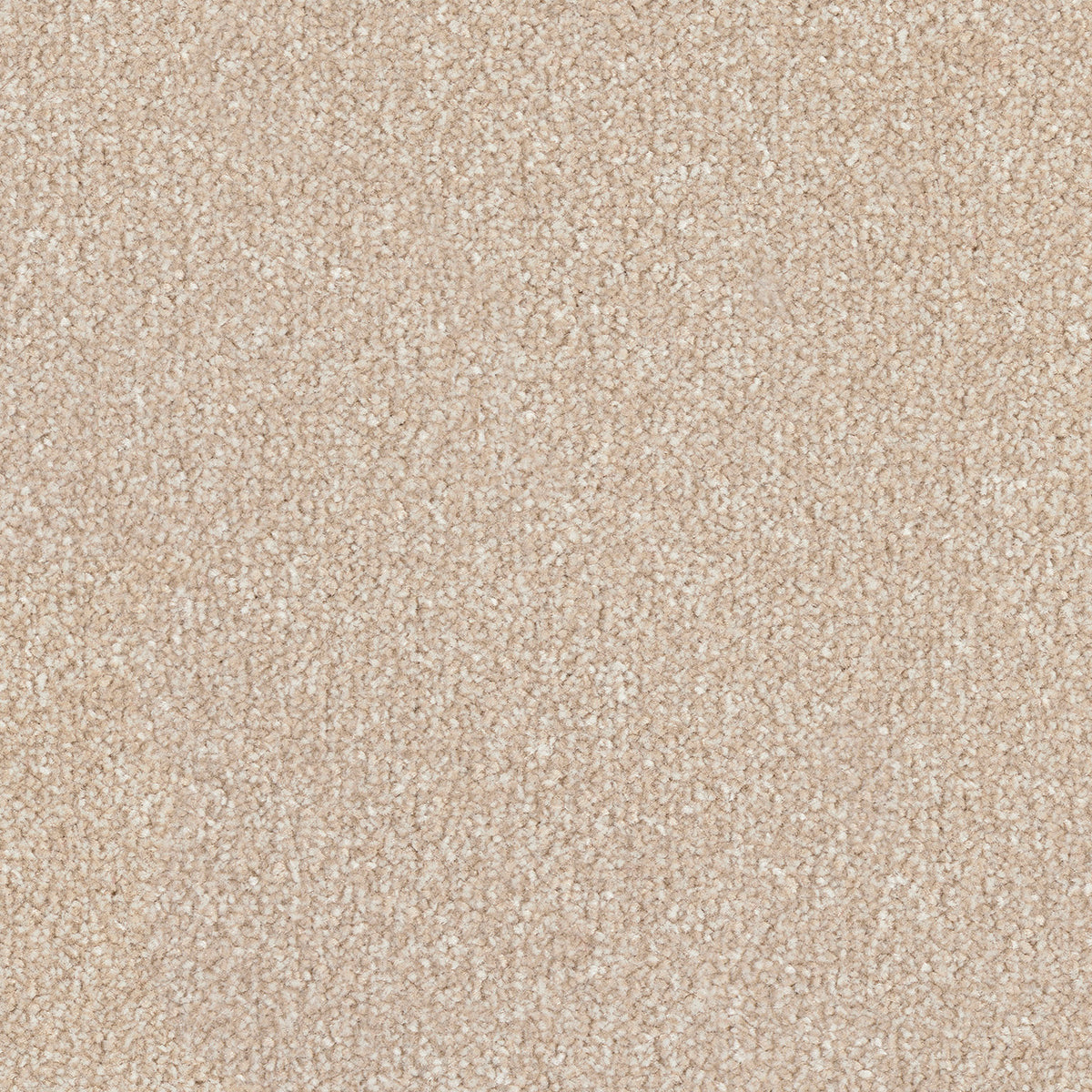 Scala Combinations SB Twist Stw 0443 Clotted Cream Carpet