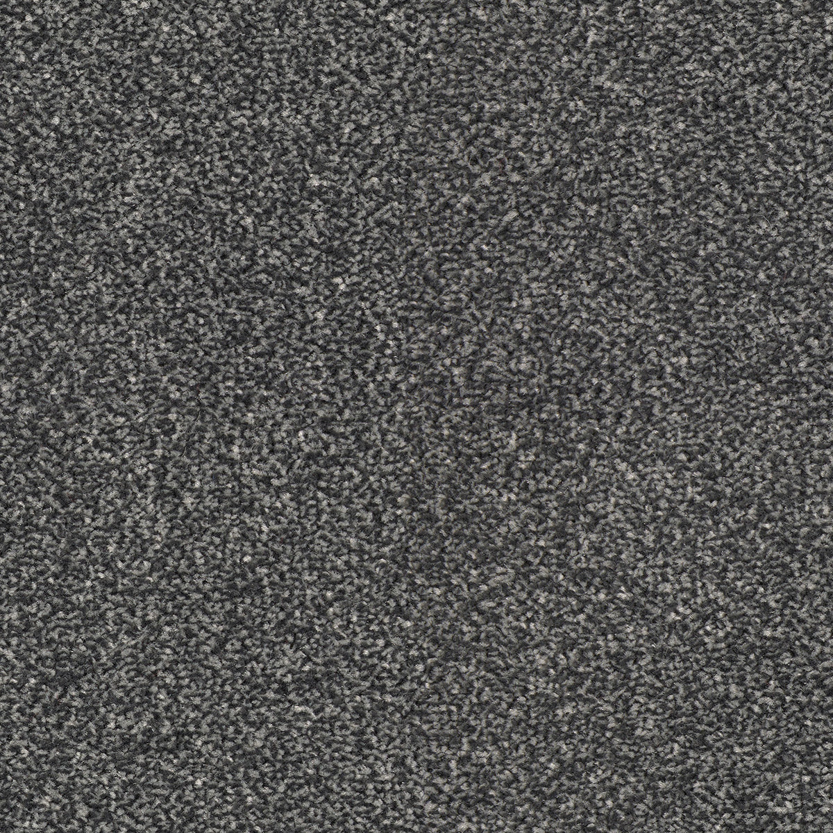 Scala Combinations SB Twist Stw 0821 Carbon Carpet