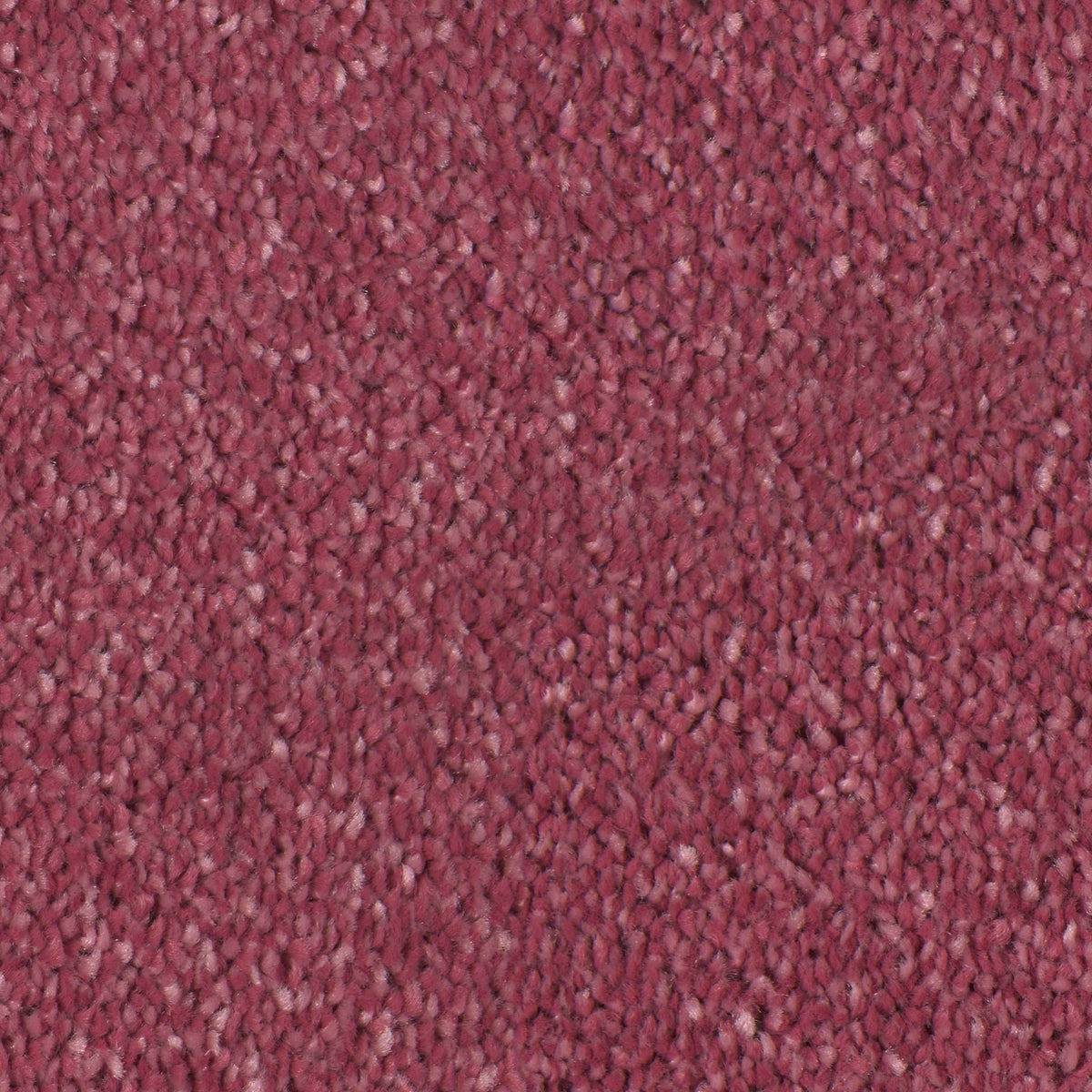 Desire Rose 0130 Carpet
