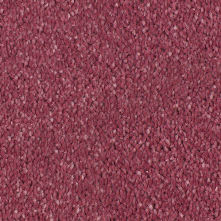 Desire Rose 0130 Carpet