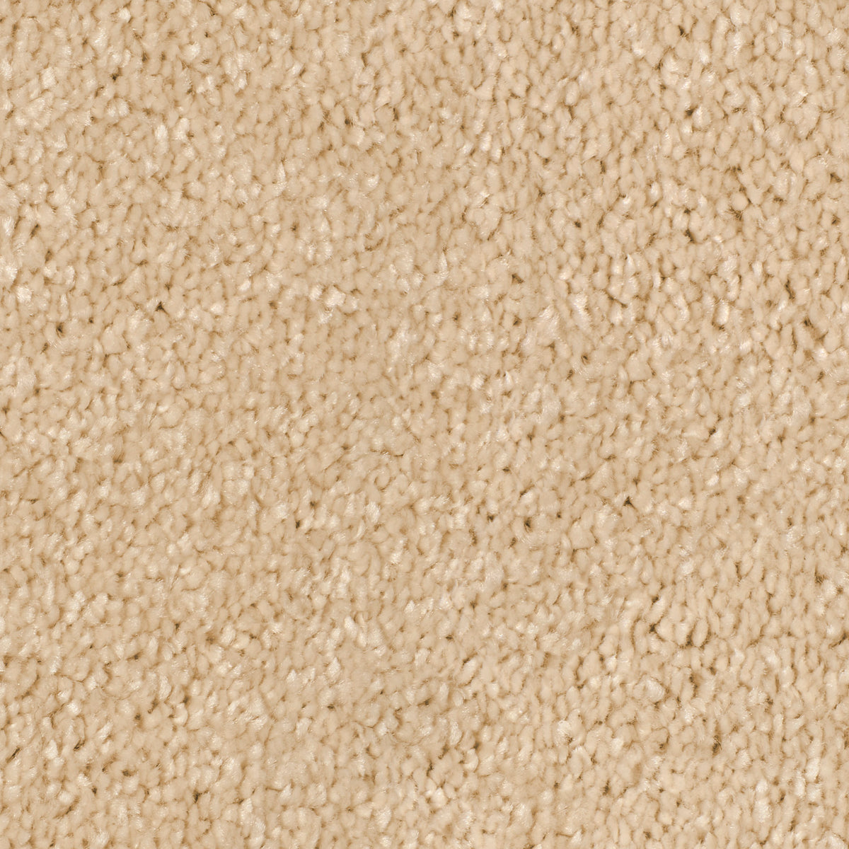 Desire Cream 0240 Carpet
