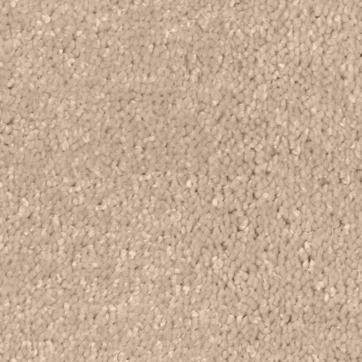 Desire Ivory 0440 Carpet