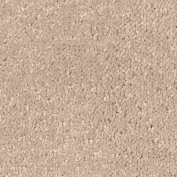 Desire Ivory 0440 Carpet