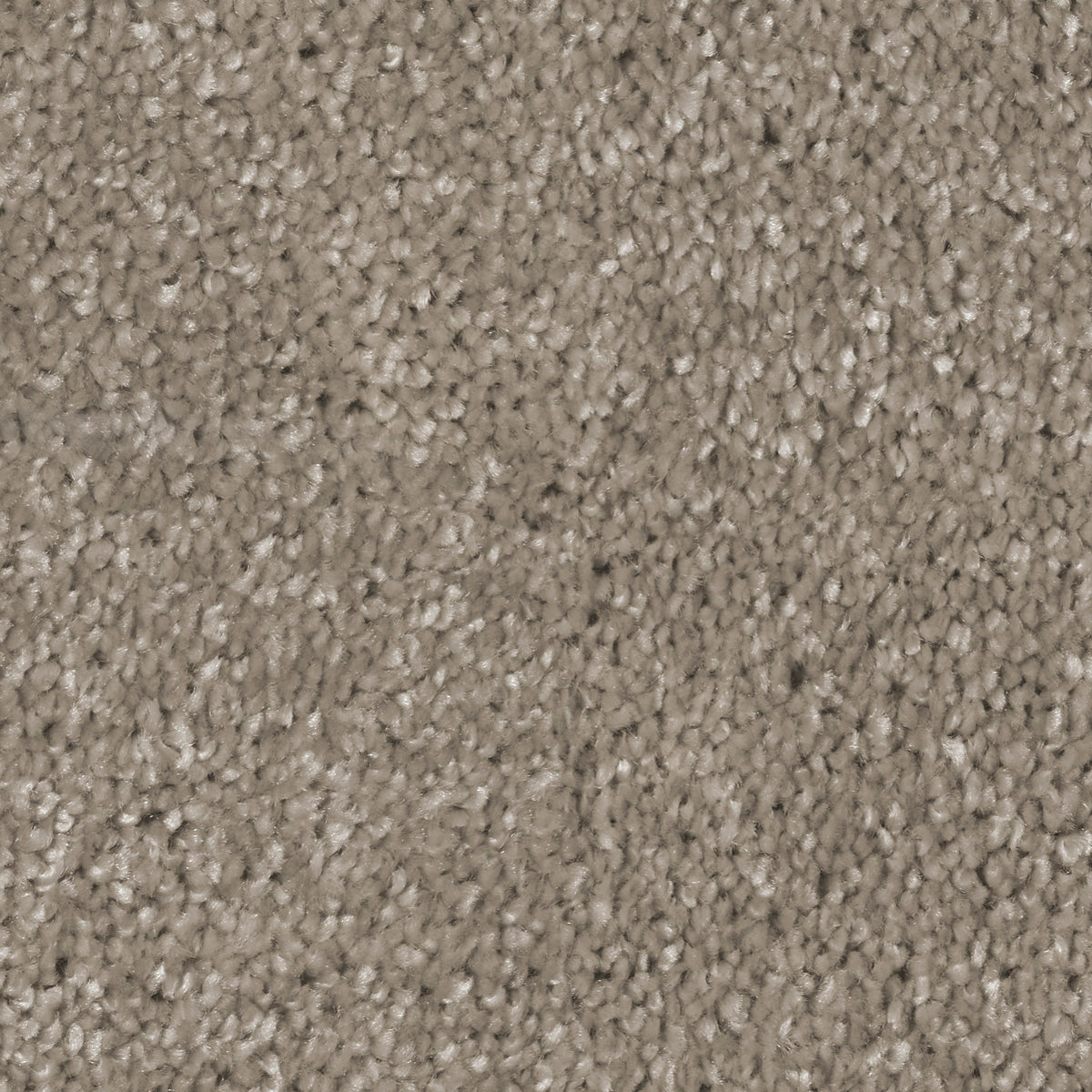 Desire Sand 0450 Carpet