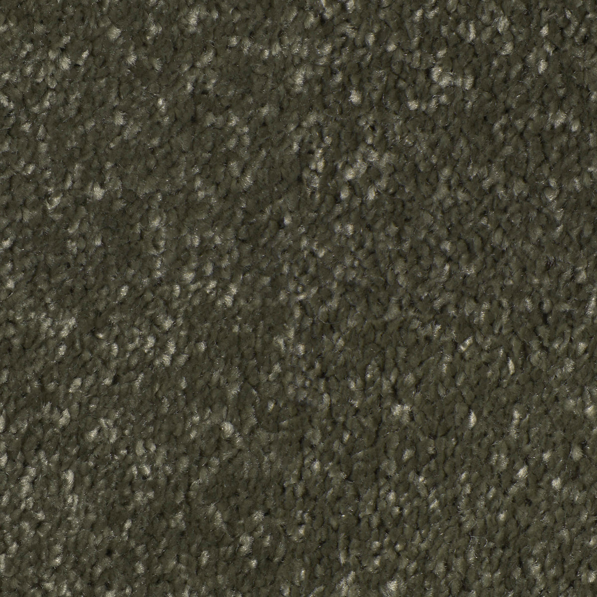 Desire Stone Path 0490 Carpet