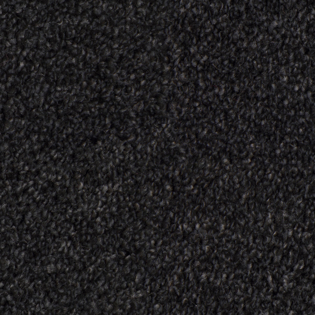 Desire Ebony 0801 Carpet