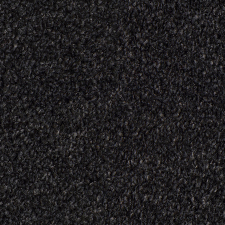 Desire Ebony 0801 Carpet
