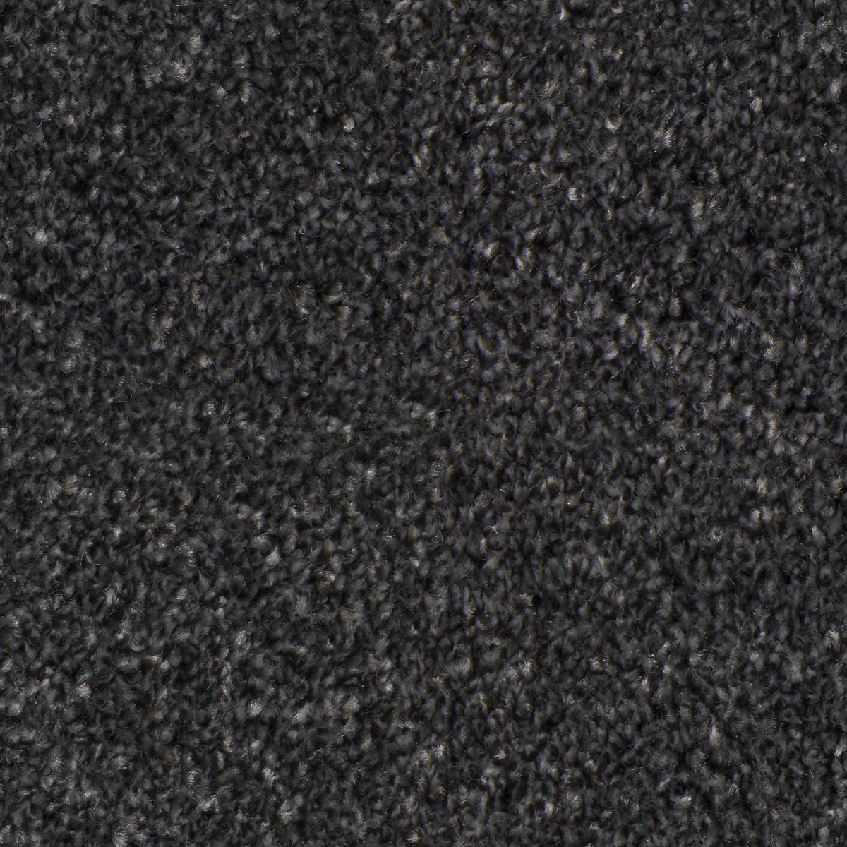 Desire Cinder 0811 Carpet